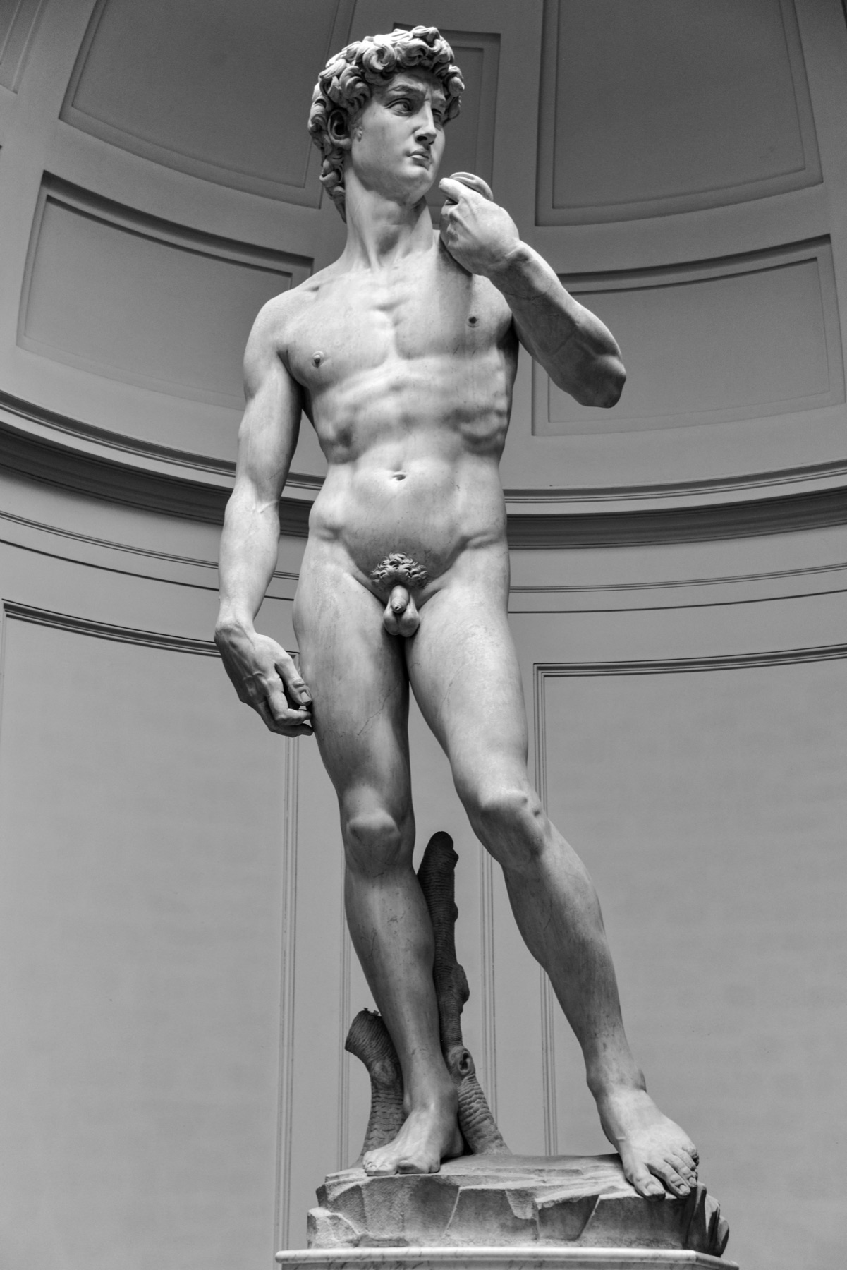 Annotated details from David by Michelangelo